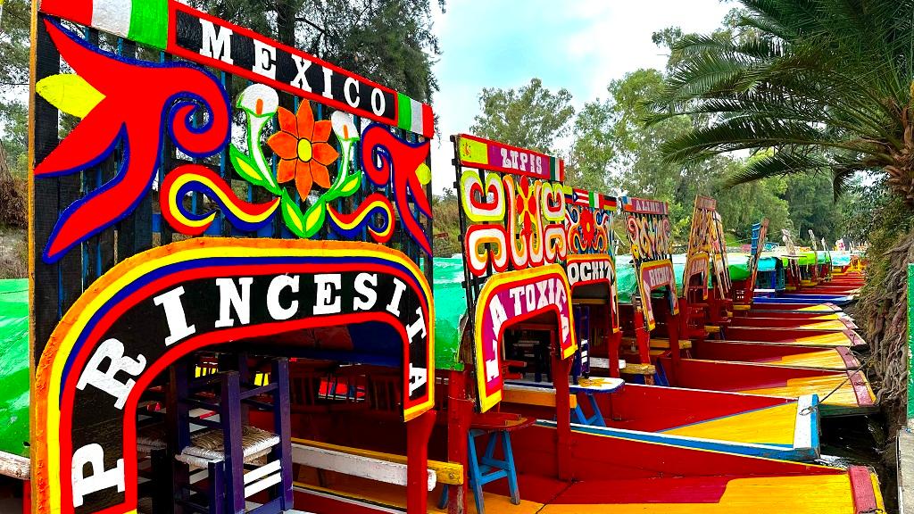 Explore Xochimilco and Coyoacan Frida's Neighborhood - Image 4